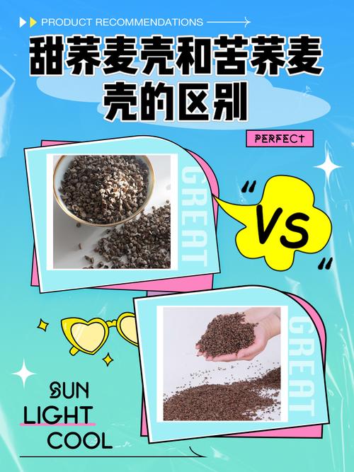 甜荞麦壳与苦荞麦壳的区别 从外观到用途的全面解析