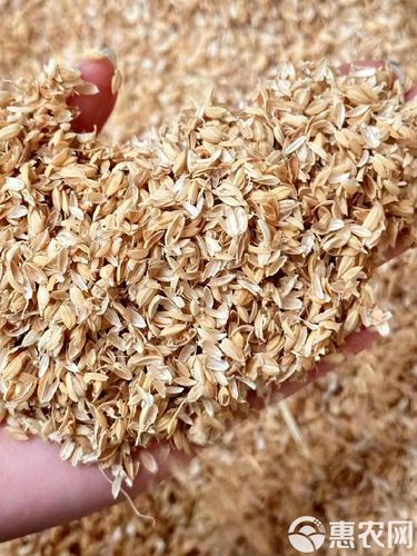 麦壳网络 压缩稻壳、现打稻壳与除尘稻壳一站式供应，量大从优